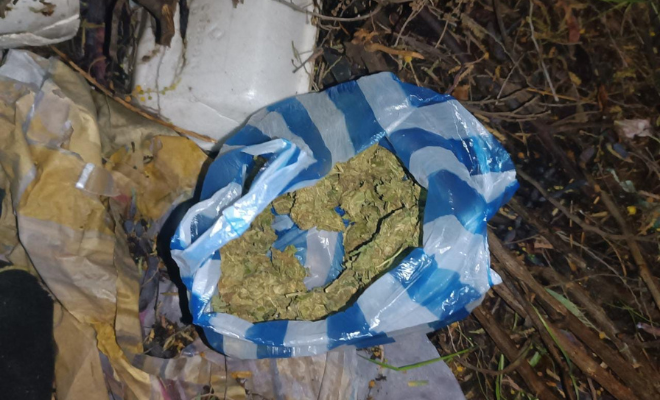 Retiramos de las calles más de 100 dosis de alucinógenos