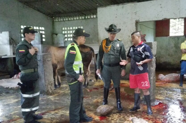 planta se sacrificio ilegal