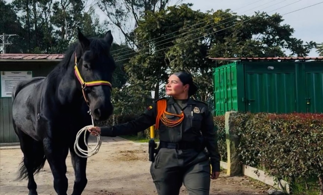 paseo a los caballos, amor y confianza 
