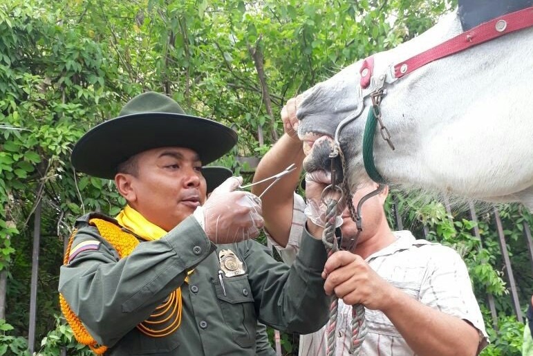 Policía-adelanta-acciones-para-la-protección-y-cuidado-de-animales