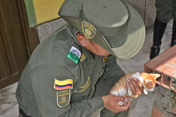 Con refugio, alimentación y con medicina son atendidos las diferentes mascotas. Con refugio, alimentación y con medicina son atendidos las diferentes mascotas.