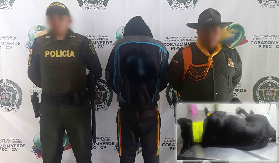 Atacamos con toda la capacidad institucional el maltrato animal  policia-captura-maltrato-animal-manizales