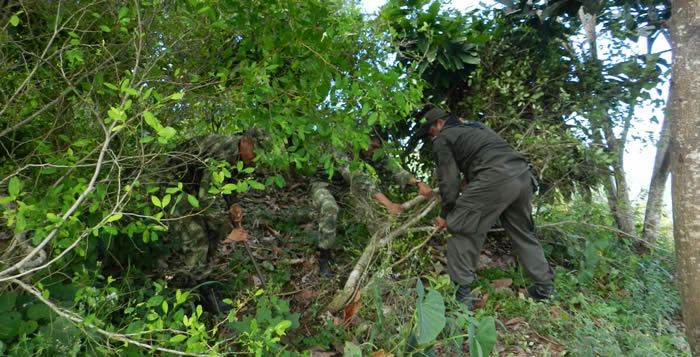 Significativo avance contra el narcotráfico policia-destruye-laboratorio-cultivo-coca-santa-marta-colombia