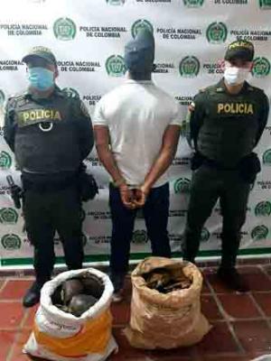 Policía Nacional captura a un hombre que pretendía comercializar 40 tortugas hicoteas policia-magdalena-medio-capturado-tortugas