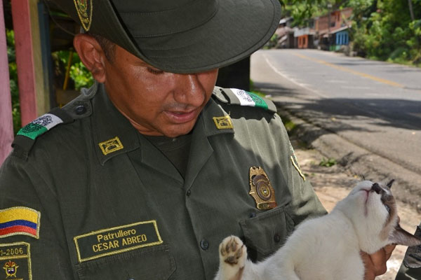 Con refugio, alimentación y con medicina son atendidos las diferentes mascotas. Con refugio, alimentación y con medicina son atendidos las diferentes mascotas.