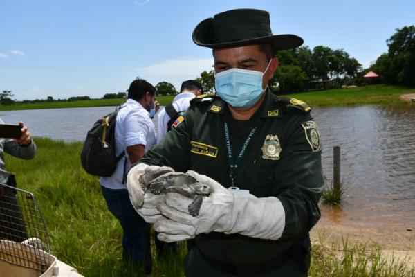 Policía-Nacional-reubicó-y-liberó-animales-silvestres-que-se-encontraban-en-cautiverio-1