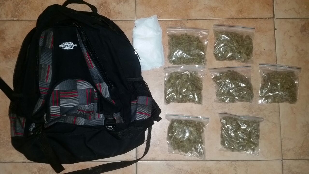 captura-incautacion-estupefacientes incautacion-estupefacientes-tunja