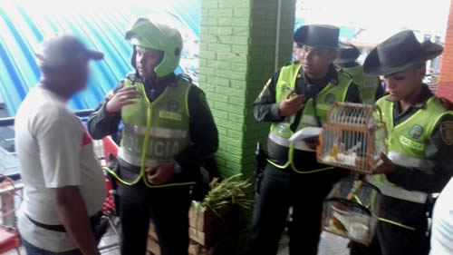 En navidad fortalecidas acciones de protección del medio ambiente  policia-rescata-aves-santa-marta