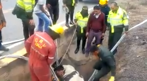 Salvamos a “carmelita”  policia-rescata-semoviente