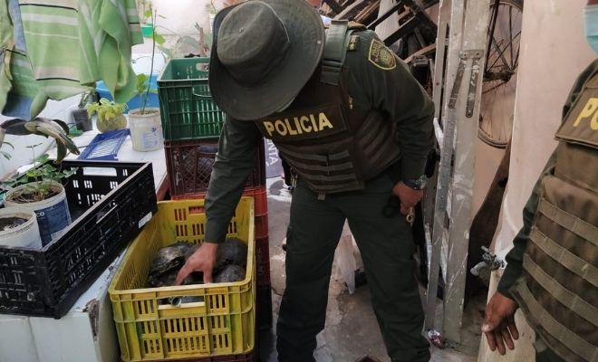  policia_ambiental