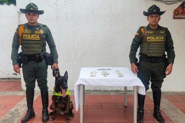 Dos policías junto al canino ODHIL y la incautación de marihuan