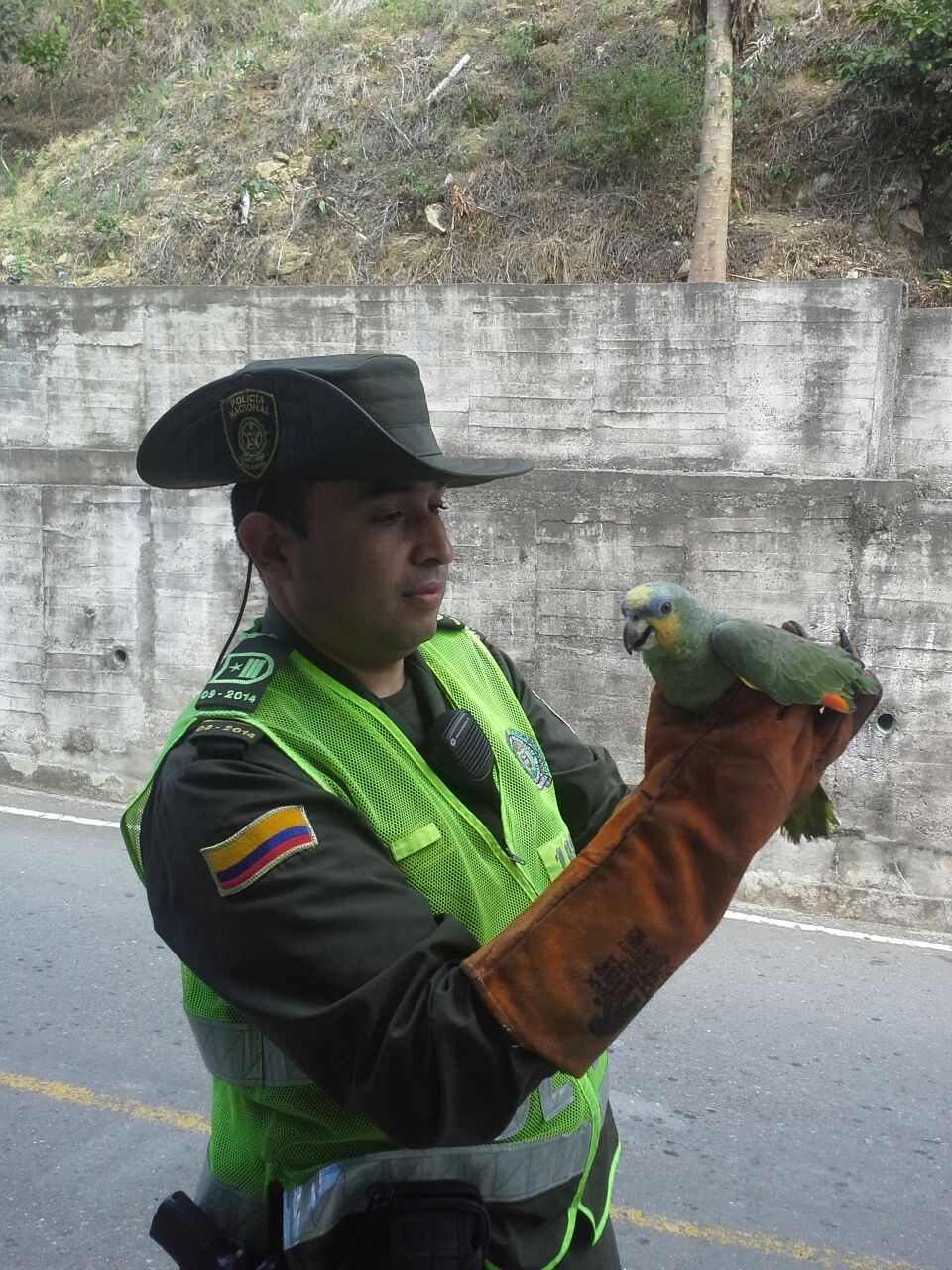 trabajamos para hacer respetar los derechos de los animales la Policía Nacional comprometida con el medio ambiente