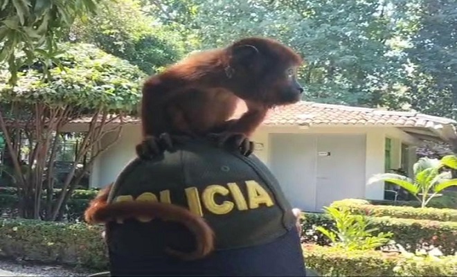 Policía Nacional de la mano con la fauna 