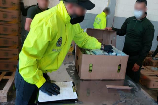 Logramos evitar el envío de clorhidrato de cocaína a Bélgica Logramos evitar el envío de clorhidrato de cocaína a Bélgica