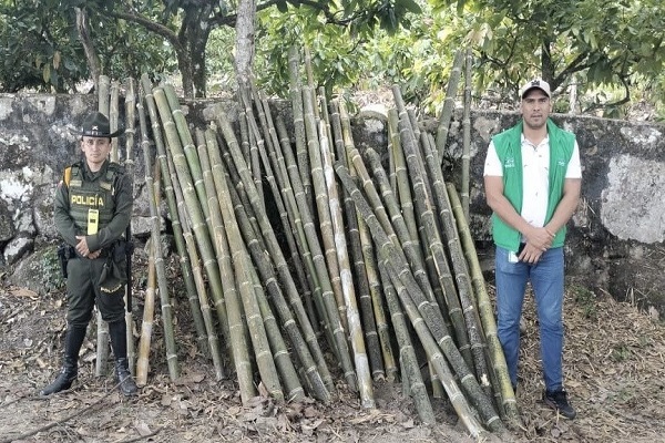 Polic&iacute;y funcionario de la CAM exhiben la incautaci&oacute;n de 163 tarros de guadua