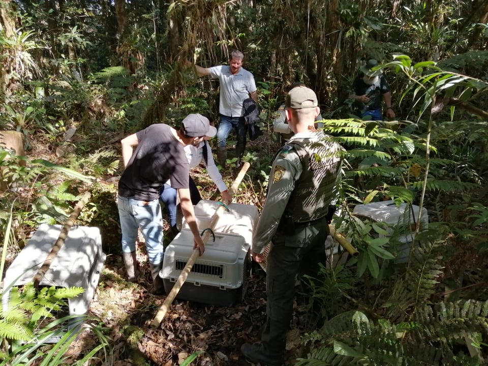Parque Natural Regional Corredor Biológico Guacharos Puracé punto_de_liberación