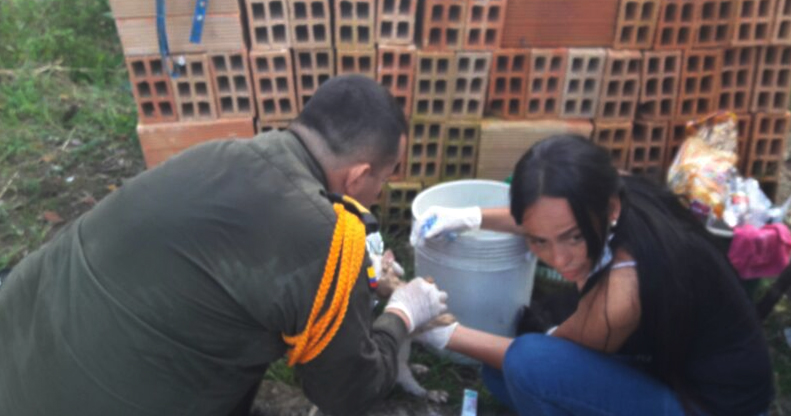 Avanzamos con la esperanza y el fervor de un nuevo comienzo, ayudamos