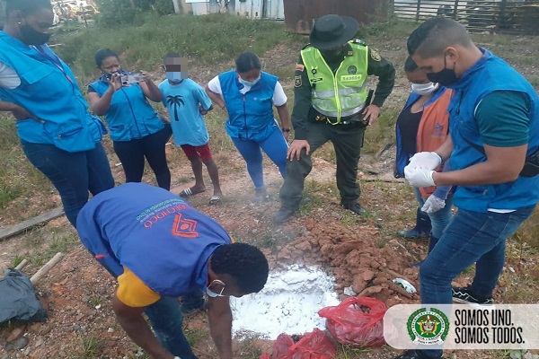 Recolectamos 40 kilos de caracol gigante en un barrio de Quibdó Recolectamos-40-kilos-de-caracol-gigante-en-un-barrio-de-Quibdó