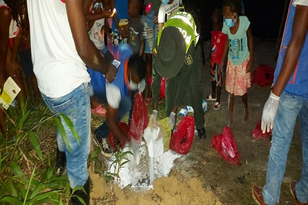 Recolectamos 42 kilos de caracol gigante Africano Recolectamos-42-kilos-de-caracol-gigante-Africano