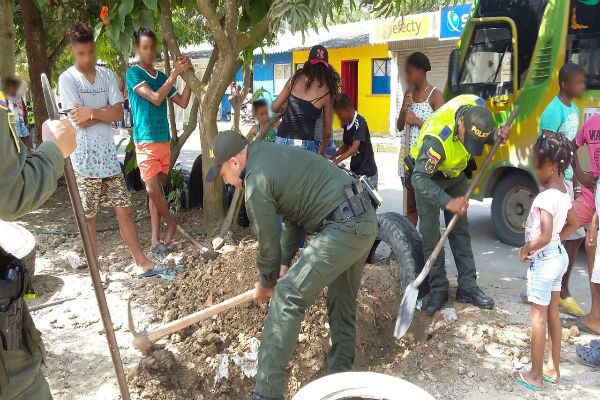 Recuperación-parque-flor-del-campo. Recuperación-parque-flor-del-campo.