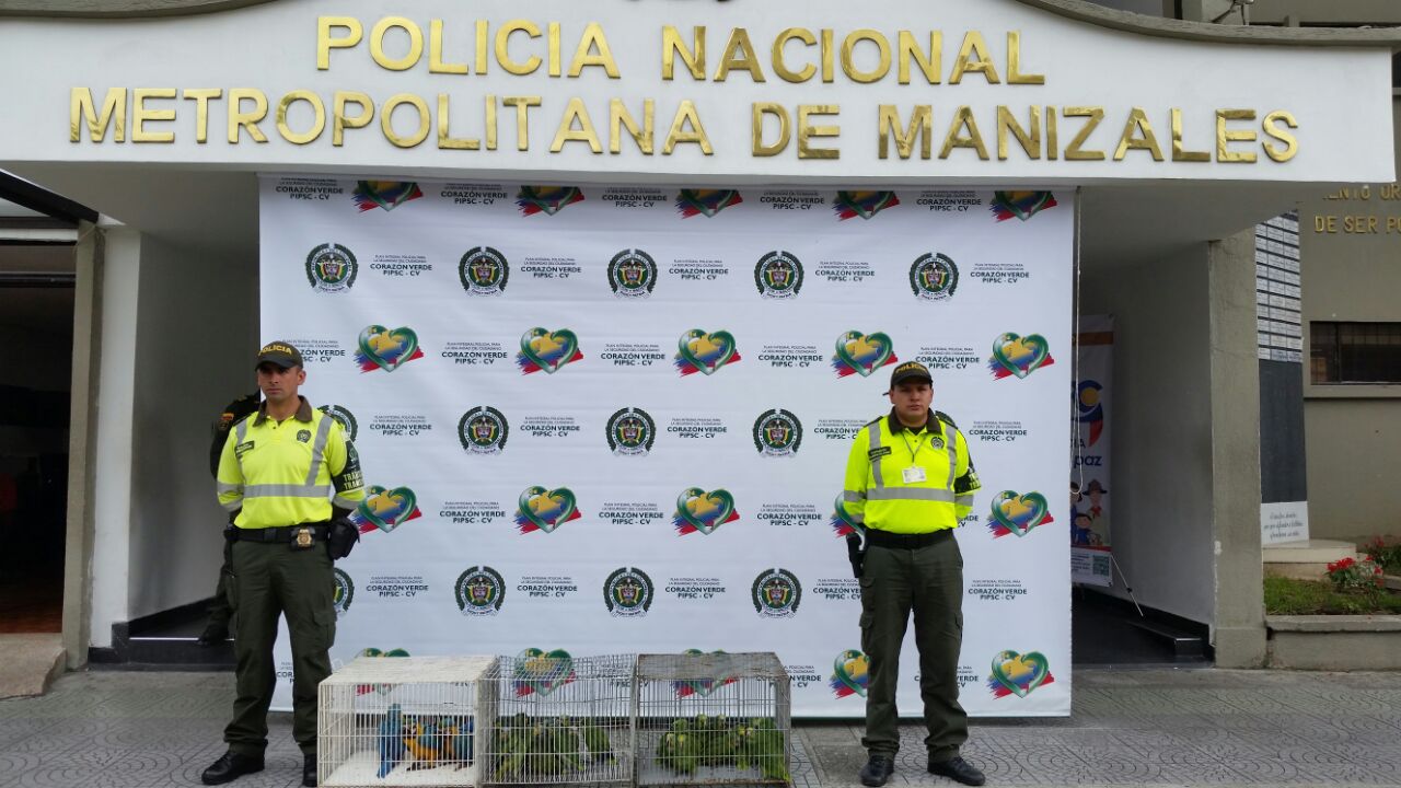 seccional_transito_incauta_aves_bus_intermunicipal recuperamos_aves_silvestres