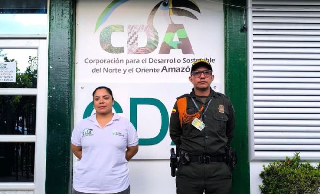 entrega de un oso perezoso a la cda 