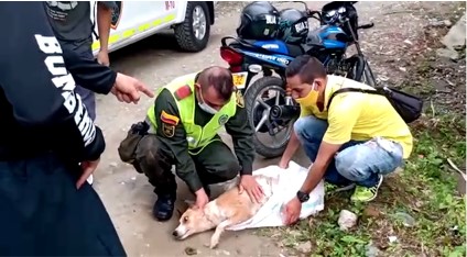 Al ser rescatado sufría de un ataque de hipotermia  Tras escuchar detonaciones de pólvora se arrojó a una quebrada