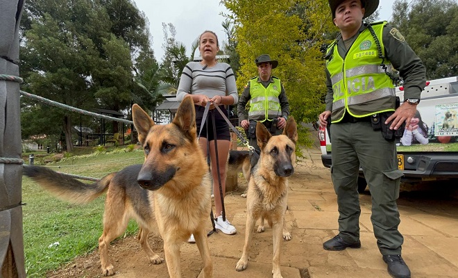 Dos caninos vuelven a su hogar, gracias a uniformados de Protección Ambiental