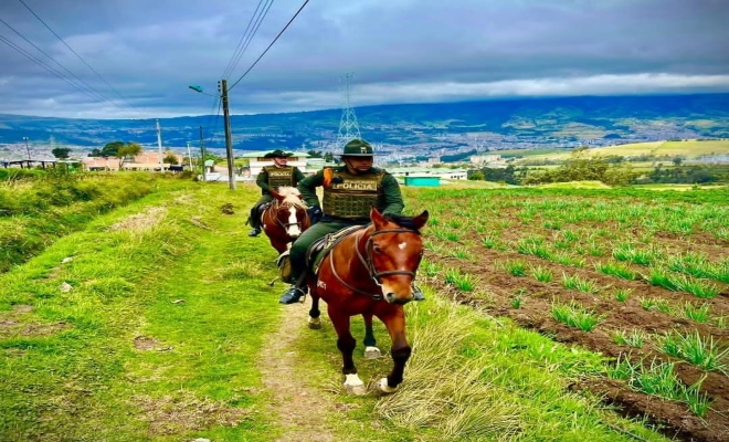 la Seccional brinda acompañamiento y apoyo a los campesinos  la Seccional brinda acompañamiento y apoyo a los campesinos