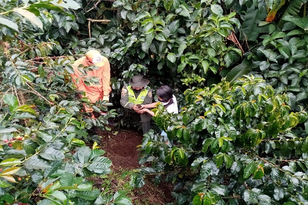 129 años preservando la naturaleza Conmemoramos nuestro aniversario con una siembra de árboles