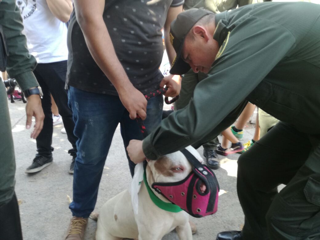 en-el-malecon-de-cucuta-se-llevo-a-cabo-jornadas-de-socializacion-a-la-comunidad-del-codigo-nacional-de-policia