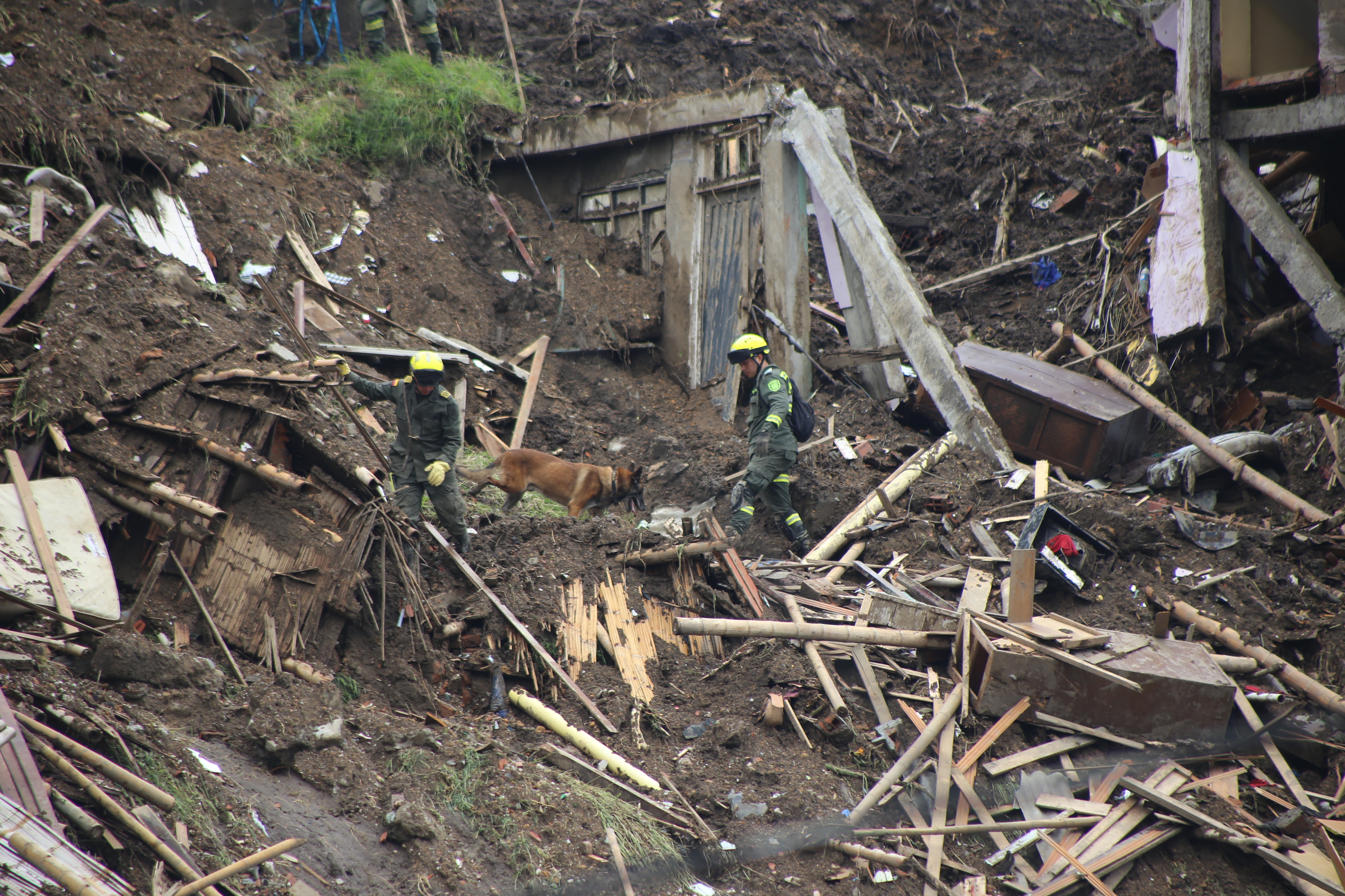 Tomy y su guía buscando cuerpos en la zona de deslizamiento en Manizales  Tomy y su guía buscando cuerpos en la zona de deslizamiento en Manizales