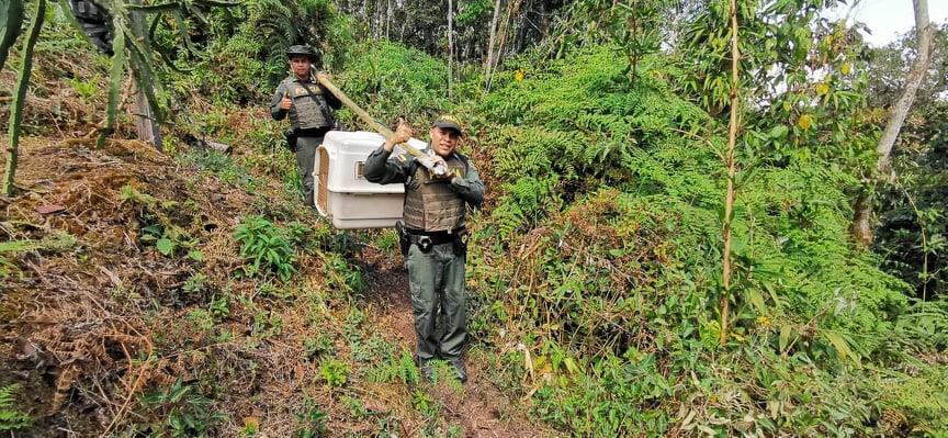 llegando al punto de liberación  transporte_de_los_primates_en_el_area