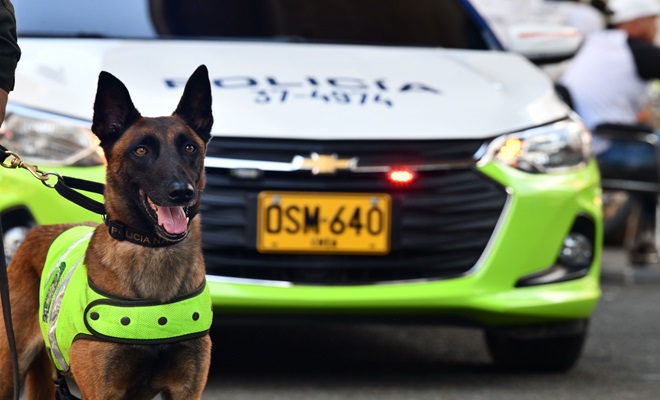 foto de vehículo institucional y canino