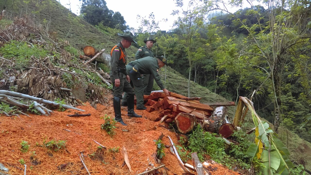 aprovechamiento ilícito de los recursos  14 metros cubicos de madera incautada