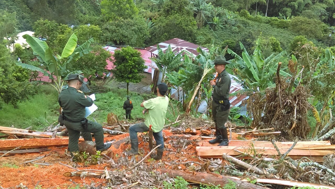 aprovechamiento ilícito de los recursos  14 metros cubicos de madera incautada