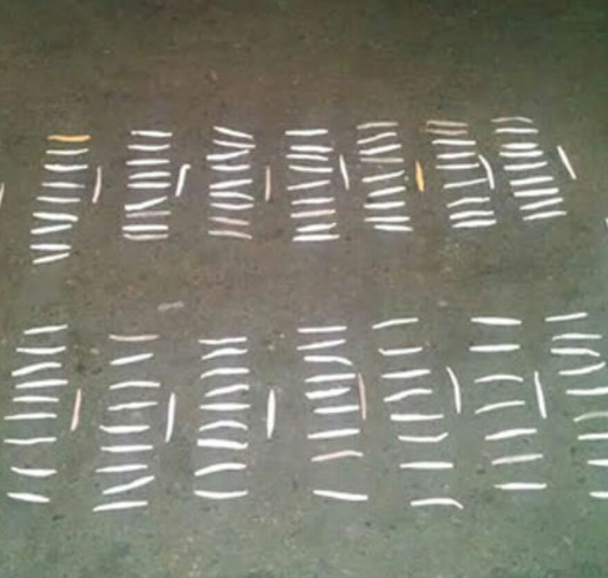 Al sujeto le fue hallado 150 cigarrillos de marihuana tipo cripy