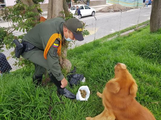 Droga en zonas verdes