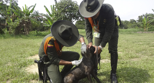 131015-actividad-proteccion-animal-leticia