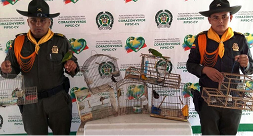 POLICIA-CAMPAÑA-RECUPERAR-AVES